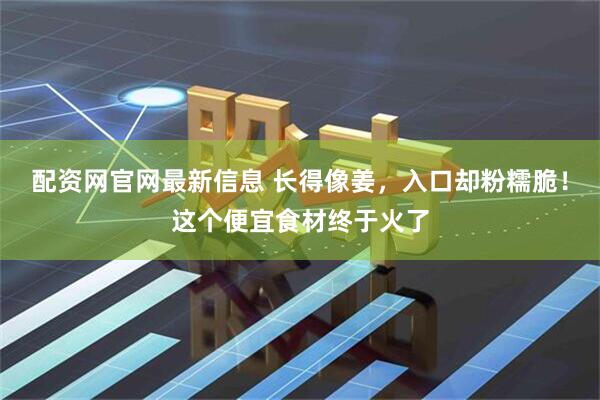 配资网官网最新信息 长得像姜，入口却粉糯脆！这个便宜食材终于火了