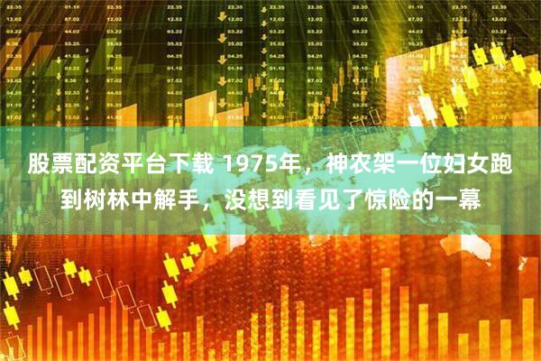 股票配资平台下载 1975年，神农架一位妇女跑到树林中解手，没想到看见了惊险的一幕